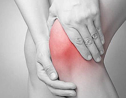 크릴오일 56 가격