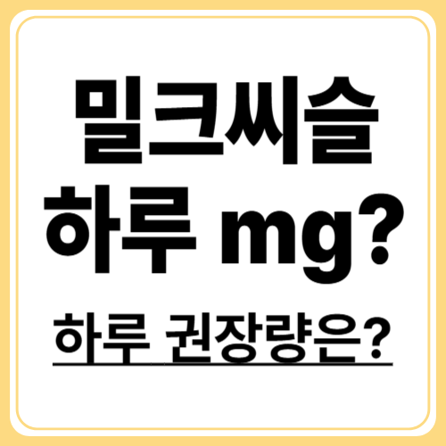 밀크씨슬 하루 권장량 가이드! 내게 맞는 정확한 복용법은?