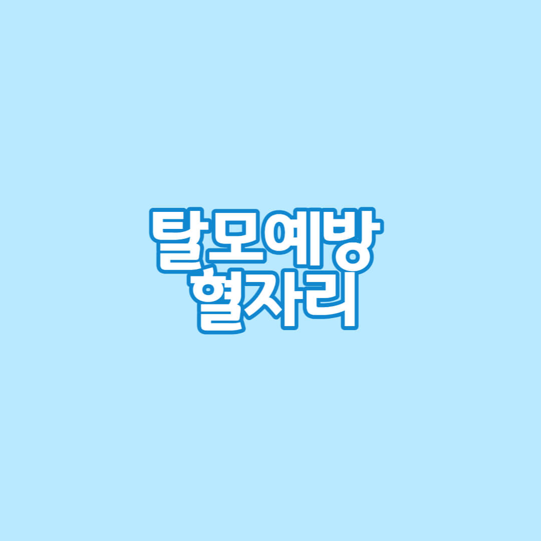 탈모 예방 혈자리
