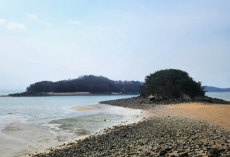 인천 i 바다패스 총정리