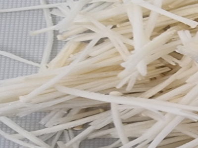 팽이버섯 사진13