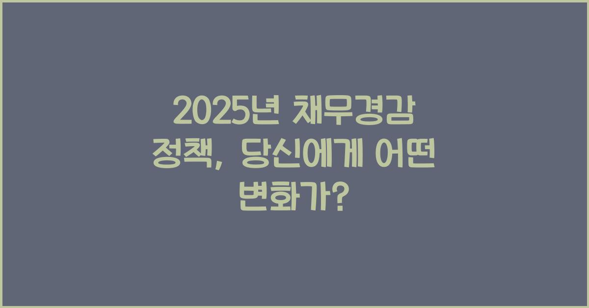2025년 채무경감 정책