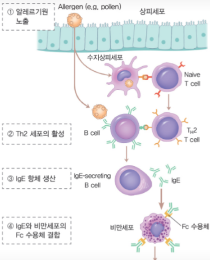 지르텍 효과와 부작용은? 지르텍을 한번에 2알 복용해도 괜찮을까?