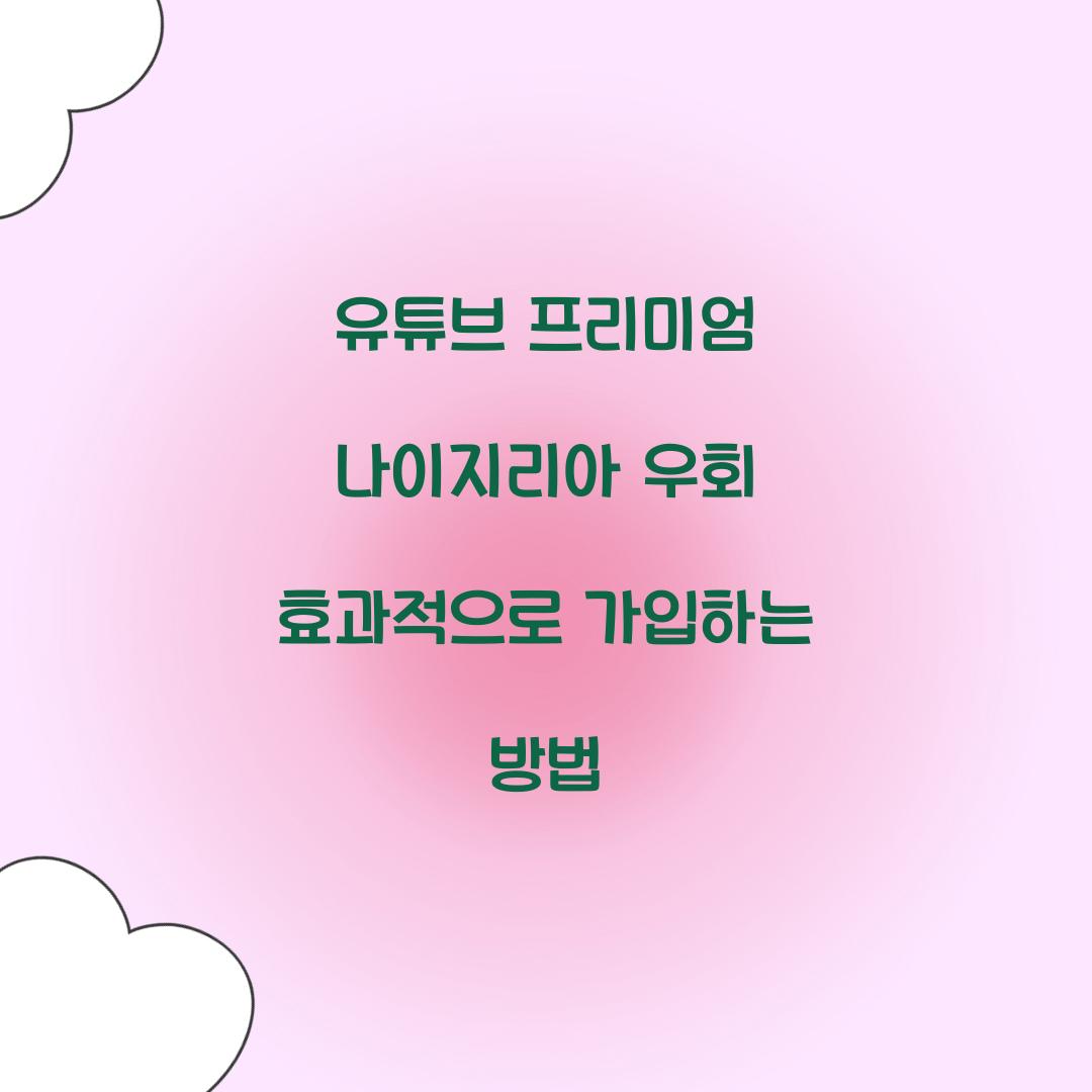 유튜브 프리미엄 나이지리아 우회