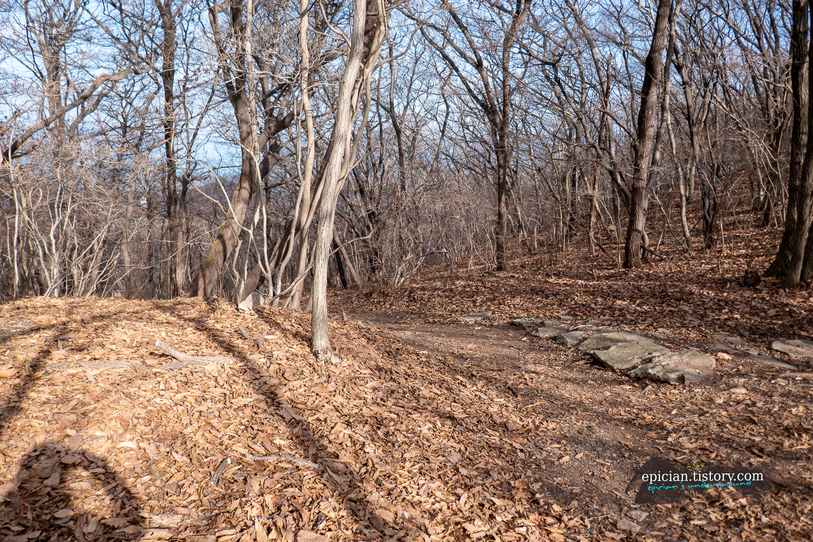 낙엽이 가늑한 등산로
