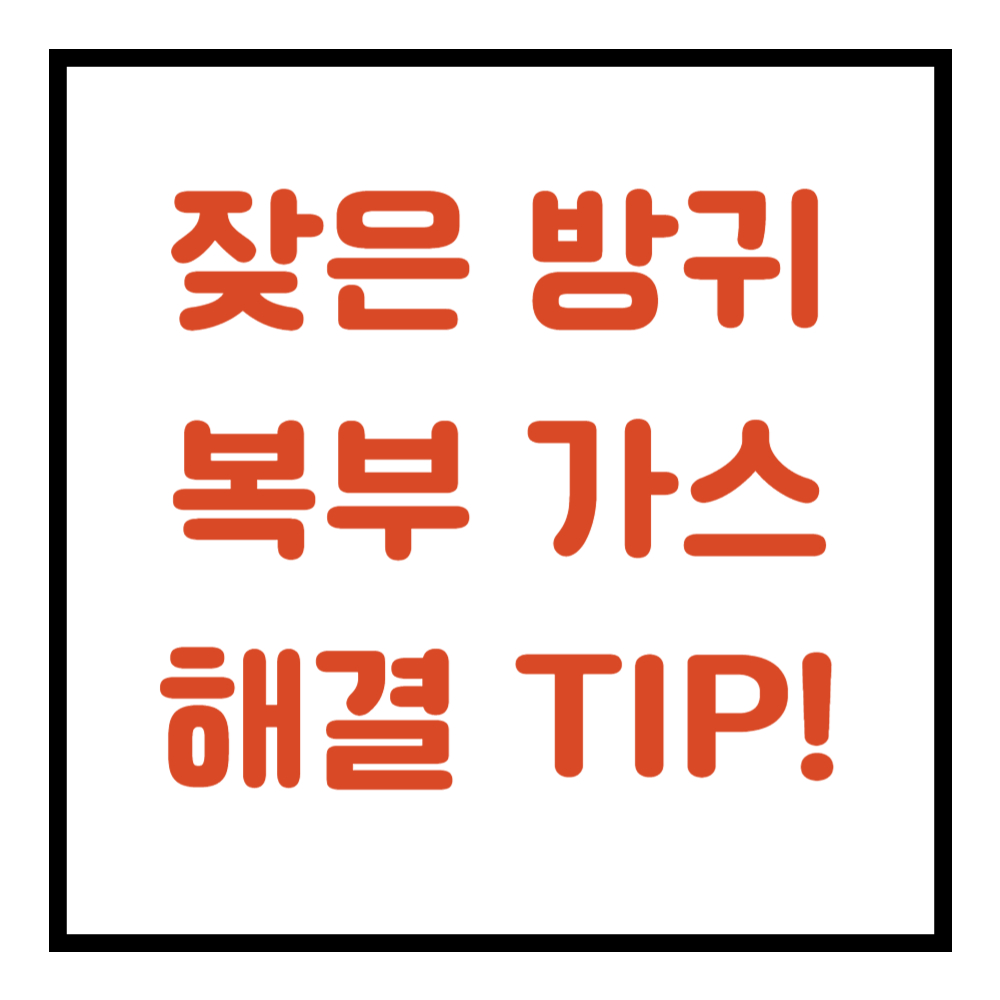 배에 가스가 차고 방귀를 자주 뀜