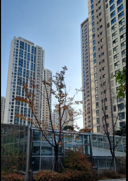 한국 부동산 관련사진