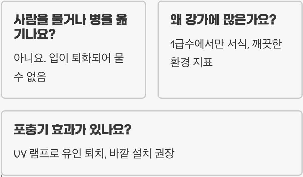 하루살이가 가장 싫어하는 불빛 색깔&amp;#44; 조명만 바꿔도 효과 100%