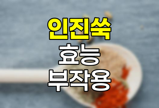 인진쑥 효능, 먹는법, 부작용 상세 정리 관련 정보
