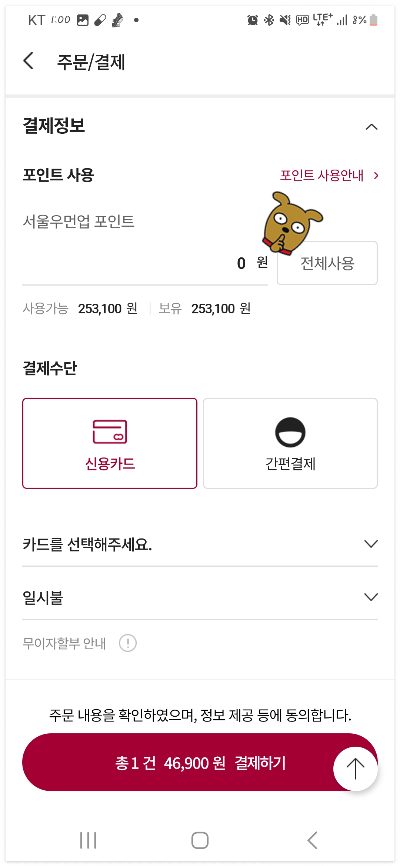 포인트결제 화면