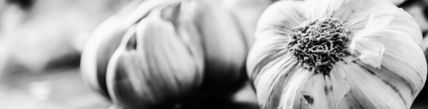 마늘 수확시기, 마늘 수확 적기: 남부지방