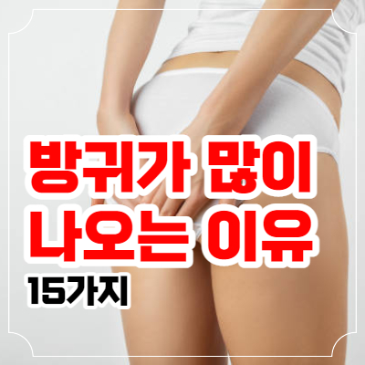 방귀가 많이 나오는 이유 포스팅 이미지 01