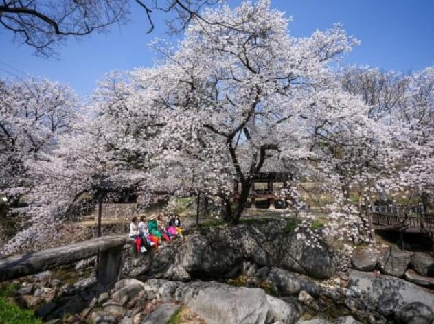 용원정 쌀다리