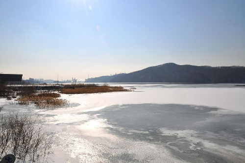 용인 반려견 산책 어디가 좋을까? 겨울에도 걷기 좋은 명소 추천