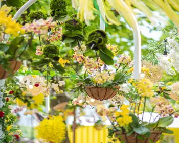 고양 꽃박람회_12