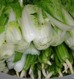 얼갈이 배추 효능 부작용 영양소 먹는방법