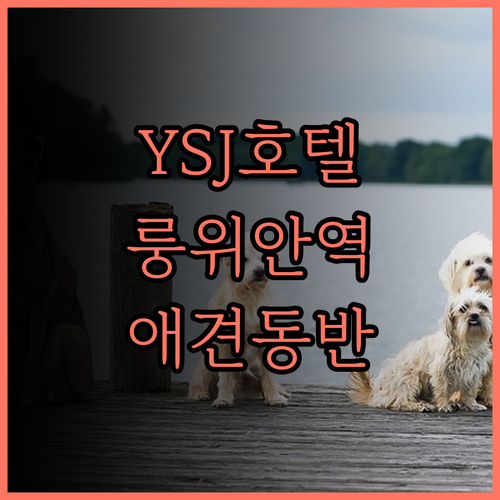 선전 YSJ웨·쓰지 호텔, 룽위안역 