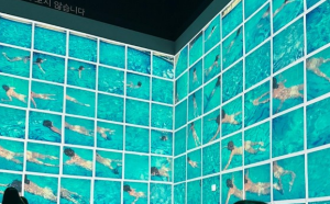 2024년 서울에서 꼭 봐야 할 이색 전시회