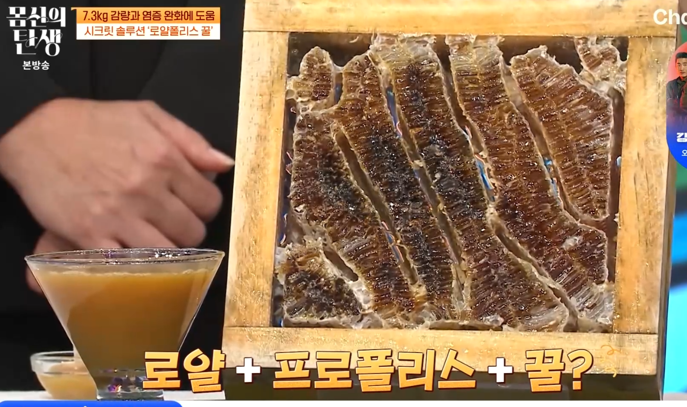 로얄폴리스꿀 로얄젤리 프로폴리스 꿀