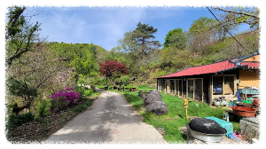 이름부터 힐링이 가득한 하늘마루염소목장