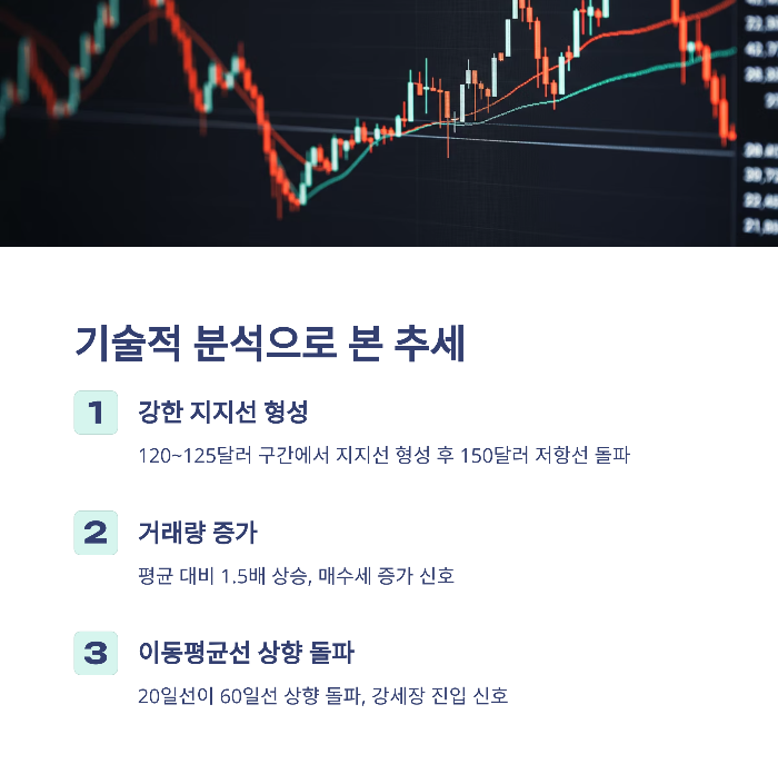 엔비디아 주가전망
