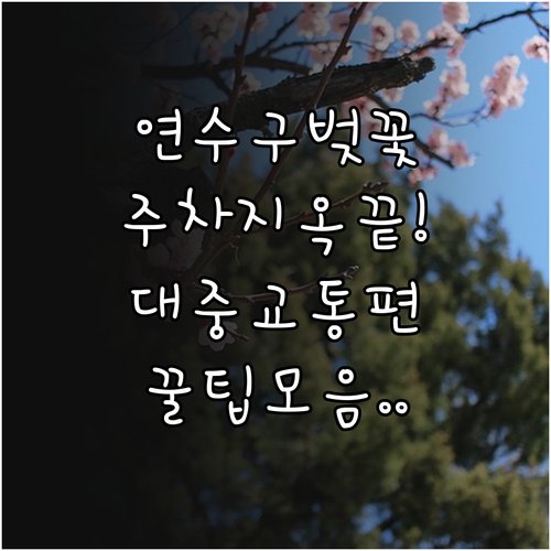 연수구 벚꽃 구경 주차장 현황 및 대..