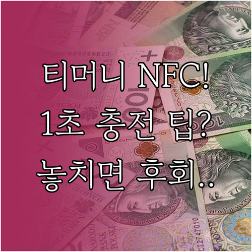 모바일 티머니 앱 NFC 비대면 교통..