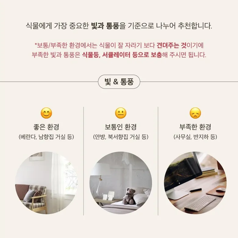 북서향 창문 식물 선택 저광량관리 물주기 식물등 세팅 가이드_3