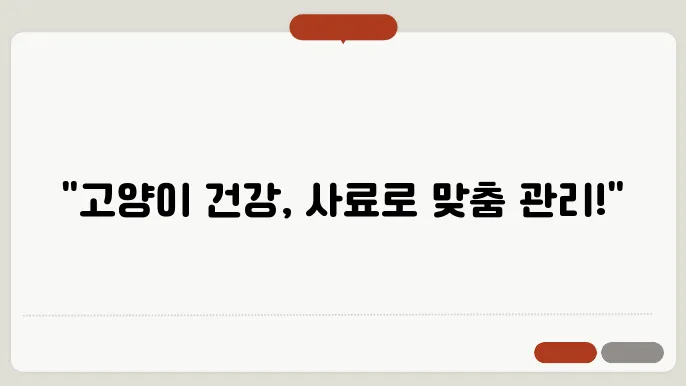 고양이 사료 추천 나이별 특징별 급여 팁