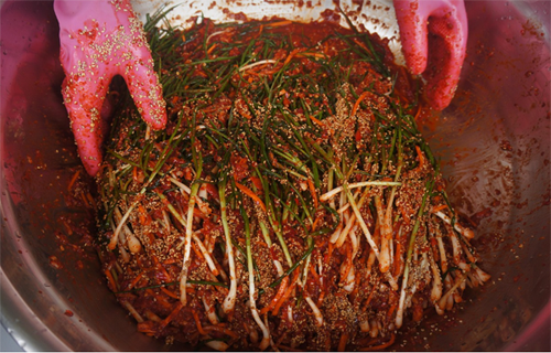 파김치 담그는 모습