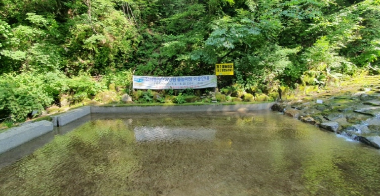 강씨봉 자연휴양림