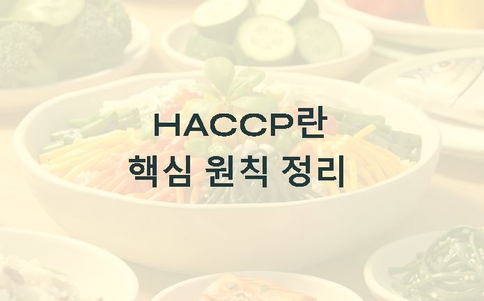 haccp 란 정의 핵심 원칙 정리