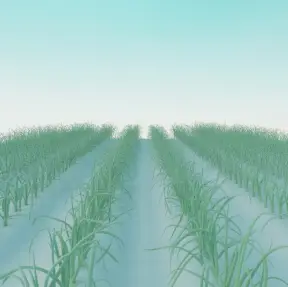 파종 밭