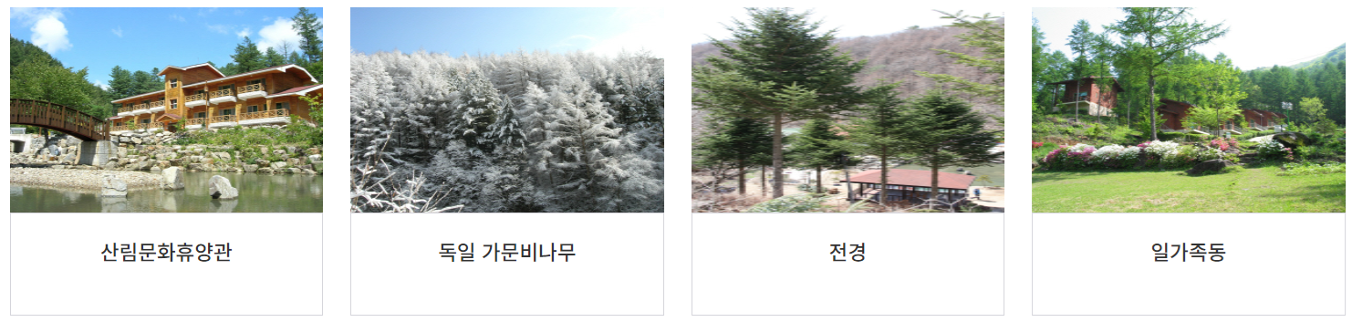 자연휴양림 대기 예약 알림 설정 방법