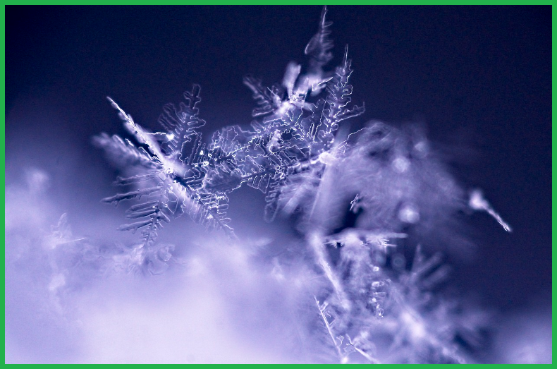 전기장판-겨울-필수템-추천