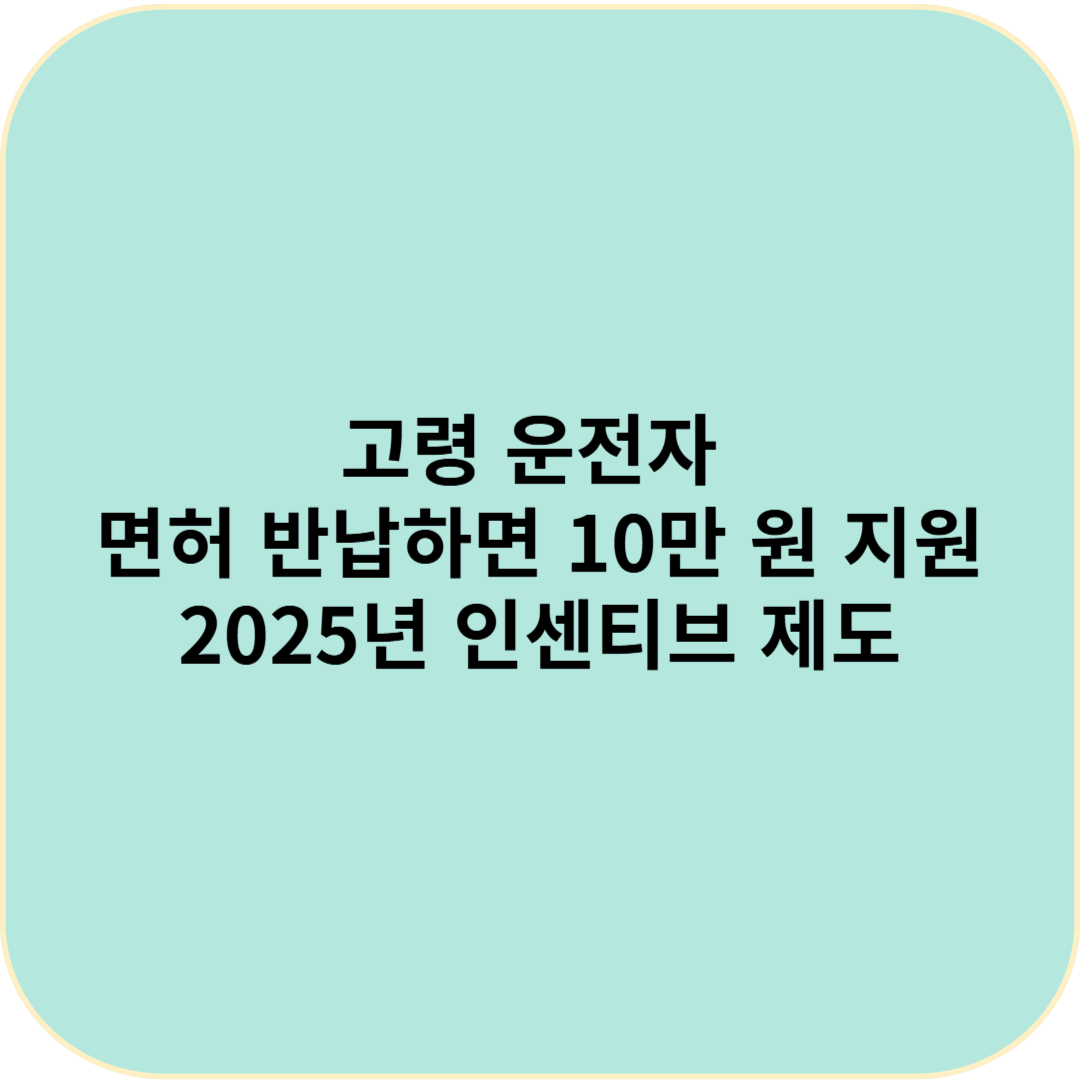 고령 운전자 면허 반납하면 10만 원 지원? 2025년 인센티브 제도