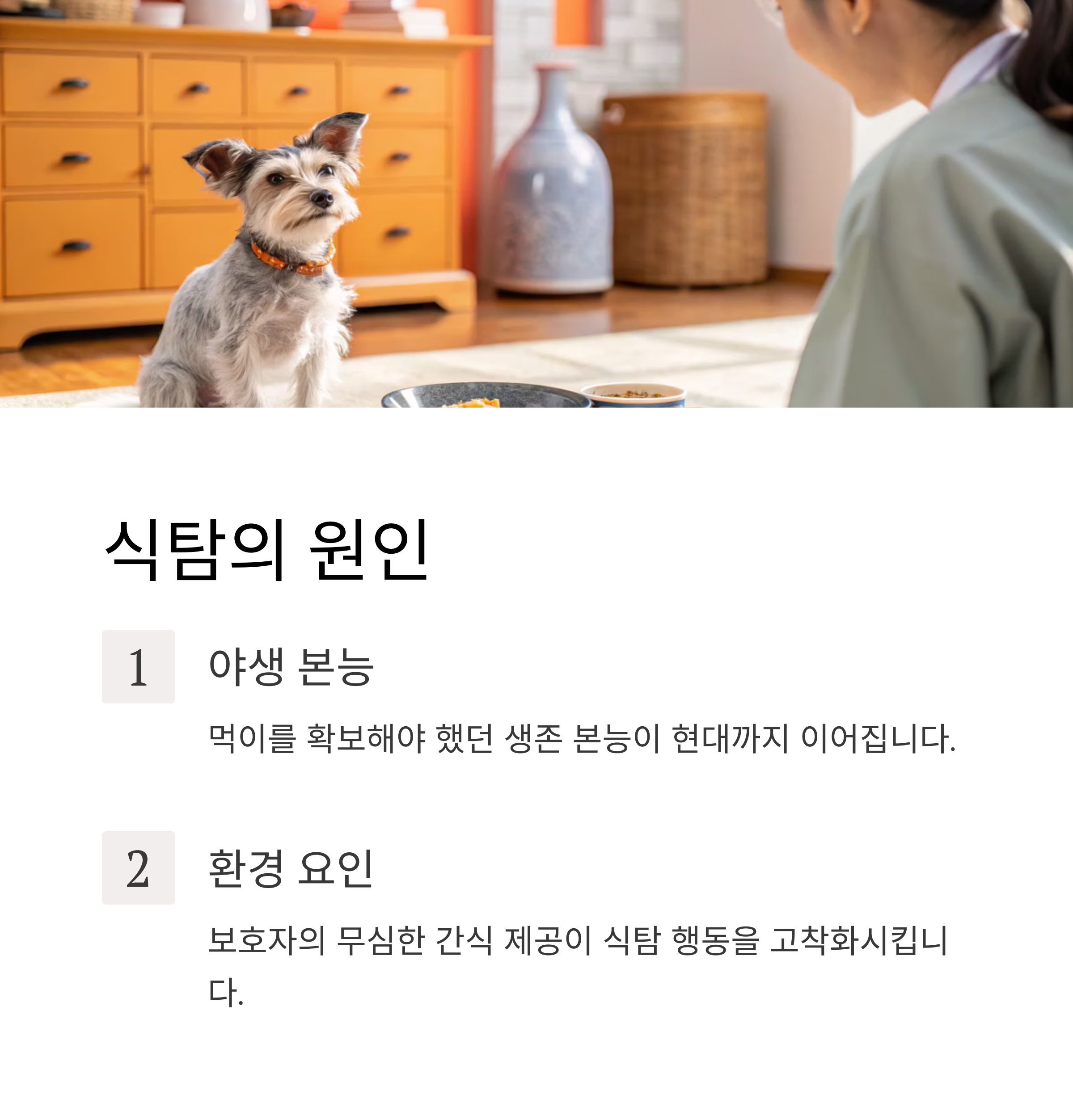 식탐의 원인