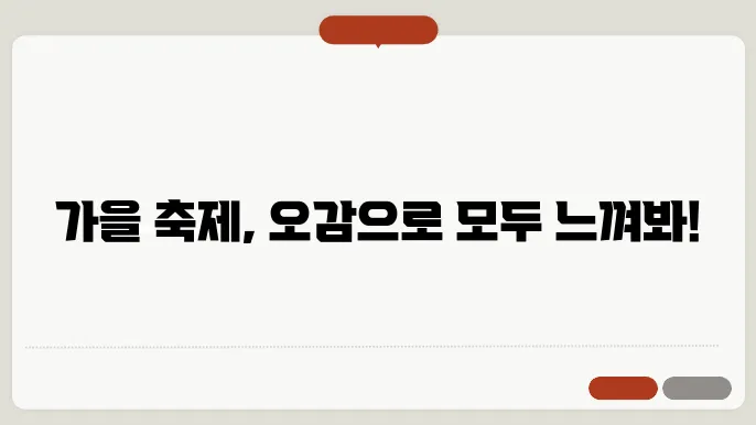 오감으로 느끼는 한국 가을 축제의 매력