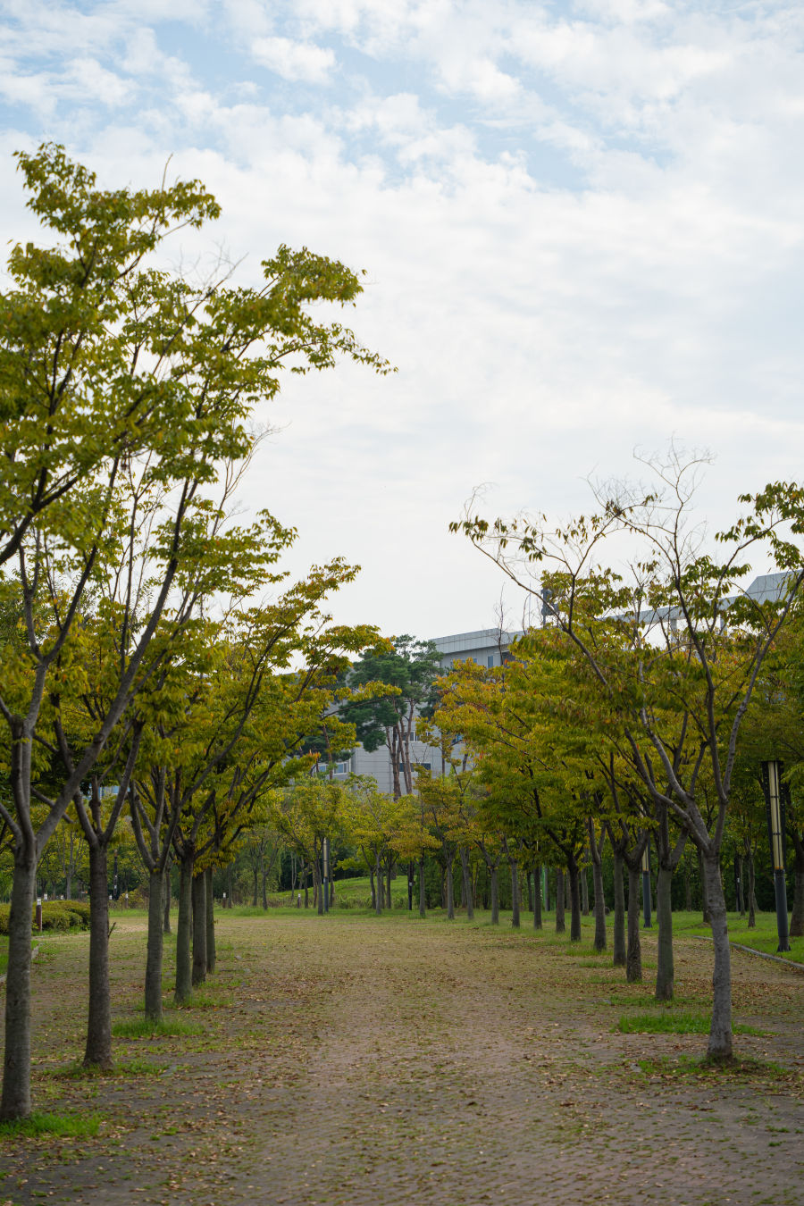 고색 향토 문화전시관 놀이터