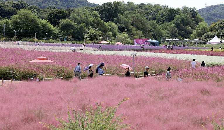 양주 나리공원(나리농원) 이미지