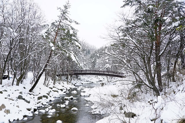 태백산 눈축제 입장료