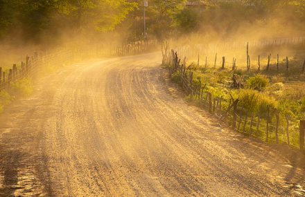 미세먼지와 황사로 가득한 길