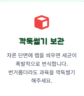 수박 고르는 방법