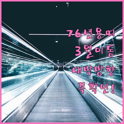 2026년 3월 1976년생 용띠 이..