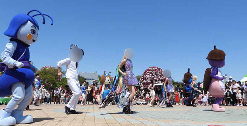 2025. 함평나비축제