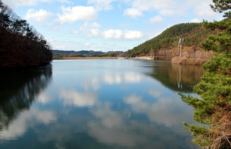 속리산 말티재 자연휴양림