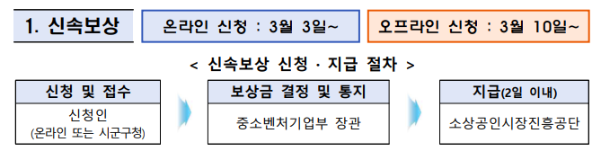소상공인 손실보전금