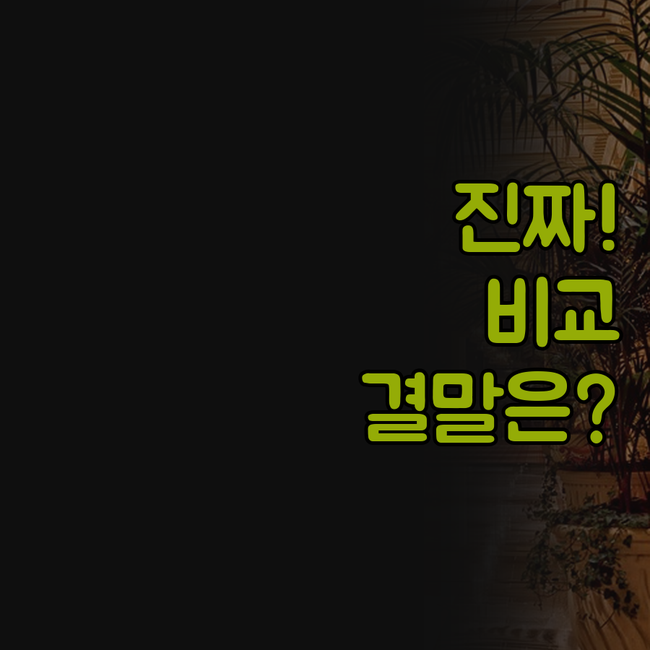 B&B 호텔 피게레스 호텔 피리네오 ..