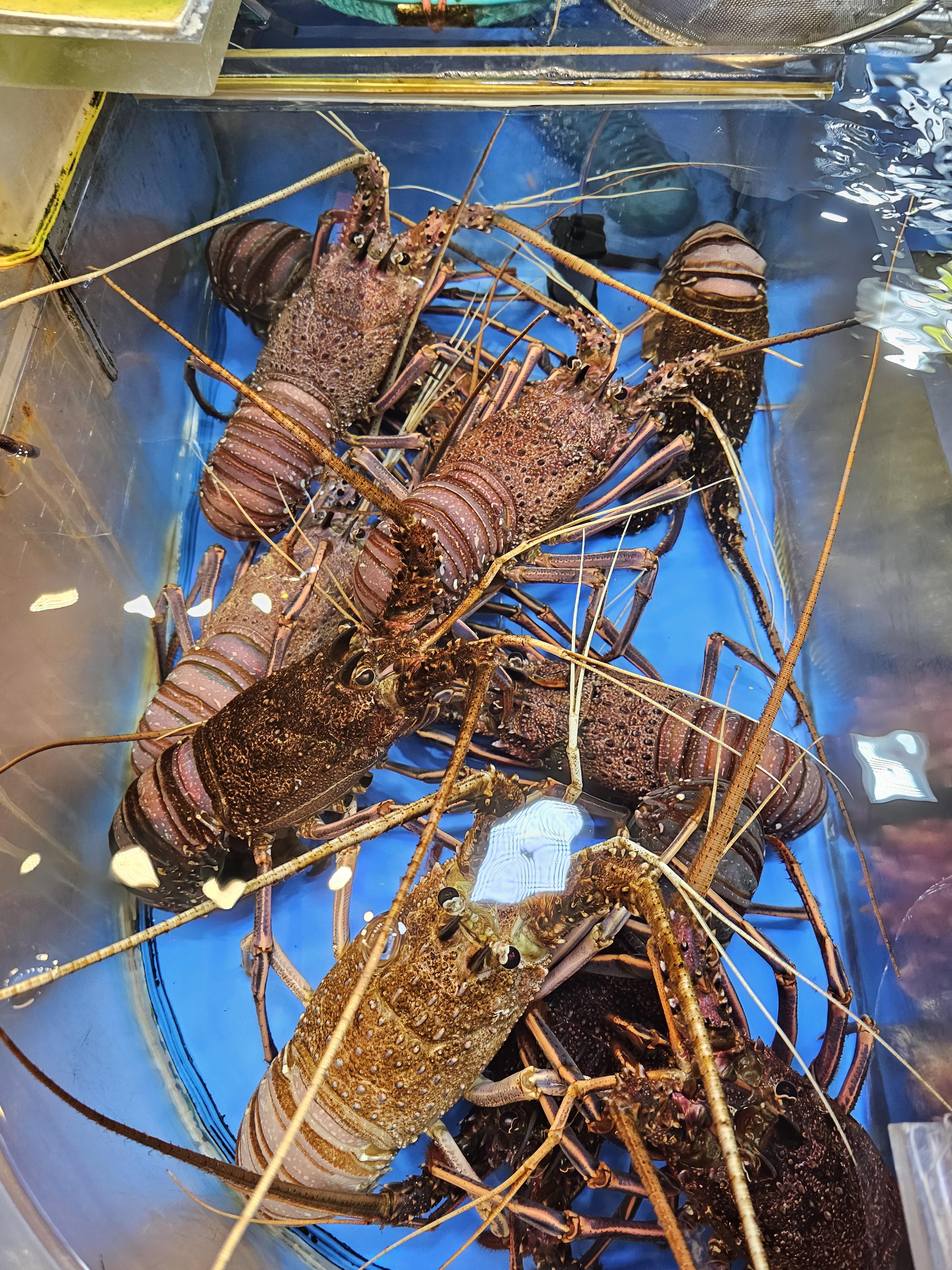 인천_연안부두_인천종합어시장_김씨상회3