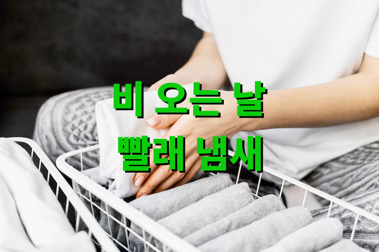 비 오는 날 빨래 냄새